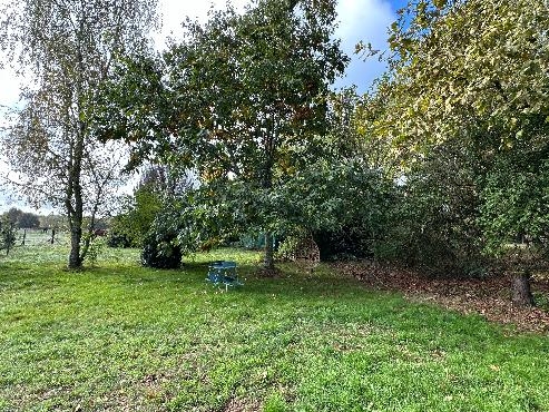 2 maisons à ossature bois sur 3 700 m²