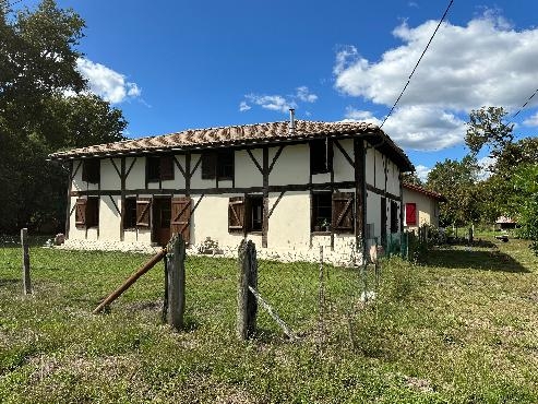 Maison landaise sur 2 300 m²