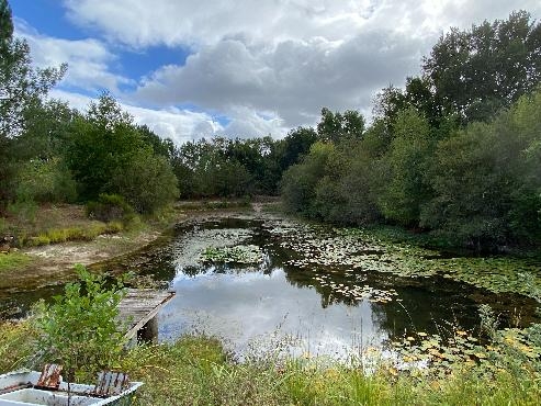 Propriété de caractère sur 5 hectares et près de 4 000 m²
