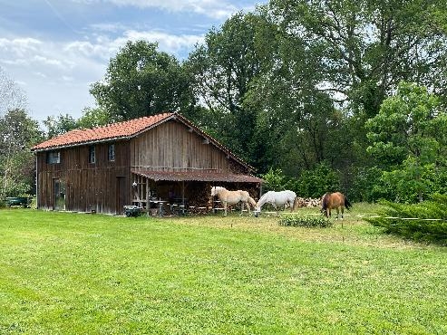 Propriété de caractère sur 5 hectares et près de 4 000 m²